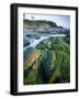 Seaweed on Rocks During Low Tide Near Cape Alava, Olympic National Park, Washington, USA-Scott T. Smith-Framed Photographic Print