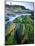 Seaweed on Rocks During Low Tide Near Cape Alava, Olympic National Park, Washington, USA-Scott T. Smith-Mounted Photographic Print