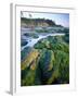 Seaweed on Rocks During Low Tide Near Cape Alava, Olympic National Park, Washington, USA-Scott T. Smith-Framed Photographic Print