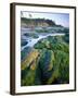 Seaweed on Rocks During Low Tide Near Cape Alava, Olympic National Park, Washington, USA-Scott T. Smith-Framed Photographic Print