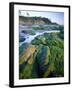 Seaweed on Rocks During Low Tide Near Cape Alava, Olympic National Park, Washington, USA-Scott T. Smith-Framed Photographic Print