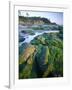 Seaweed on Rocks During Low Tide Near Cape Alava, Olympic National Park, Washington, USA-Scott T. Smith-Framed Photographic Print