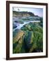 Seaweed on Rocks During Low Tide Near Cape Alava, Olympic National Park, Washington, USA-Scott T. Smith-Framed Photographic Print