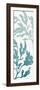 Seaweed Panel 1-Allen Kimberly-Framed Art Print