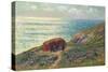 Seaweed Pickers at Moelan, Bretagne, 1900-Henry Moret-Stretched Canvas