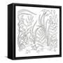 Seaweed Scenery-Pam Varacek-Framed Stretched Canvas