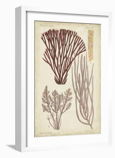 Seaweed Specimen in Coral I-Vision Studio-Framed Art Print