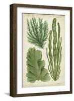 Seaweed Specimen in Green I-Vision Studio-Framed Art Print