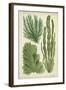 Seaweed Specimen in Green I-Vision Studio-Framed Art Print