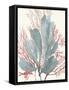 Seaweed Swirls I-Aimee Wilson-Framed Stretched Canvas