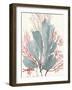 Seaweed Swirls I-Aimee Wilson-Framed Art Print