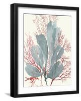 Seaweed Swirls I-Aimee Wilson-Framed Art Print