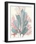 Seaweed Swirls I-Aimee Wilson-Framed Art Print