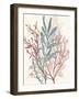 Seaweed Swirls II-Aimee Wilson-Framed Art Print