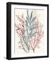 Seaweed Swirls II-Aimee Wilson-Framed Art Print