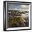 Seaweed, Waipapa Coast, Catlins, Southland, South Island, New Zealand-Rainer Mirau-Framed Photographic Print