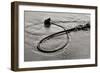 Seaweed-Lee Peterson-Framed Photographic Print
