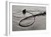 Seaweed-Lee Peterson-Framed Photographic Print