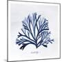 SeaweedFig1-Alicia Vidal-Mounted Art Print