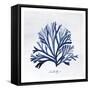 SeaweedFig1-Alicia Vidal-Framed Stretched Canvas