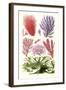 Seaweeds Green Laver-James Sowerby-Framed Art Print