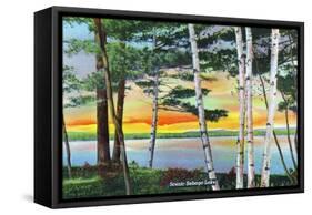 Sebago Lake, Maine - Scenic View Along the Lake with White Birches, c.1949-Lantern Press-Framed Stretched Canvas