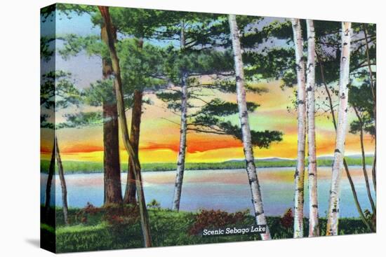 Sebago Lake, Maine - Scenic View Along the Lake with White Birches, c.1949-Lantern Press-Stretched Canvas