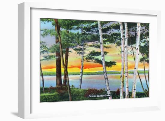 Sebago Lake, Maine - Scenic View Along the Lake with White Birches, c.1949-Lantern Press-Framed Art Print