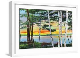 Sebago Lake, Maine - Scenic View Along the Lake with White Birches, c.1949-Lantern Press-Framed Art Print