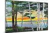 Sebago Lake, Maine - Scenic View Along the Lake with White Birches, c.1949-Lantern Press-Mounted Art Print