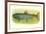 Sebago Salmon-null-Framed Art Print