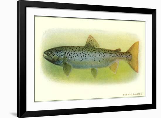 Sebago Salmon-null-Framed Art Print