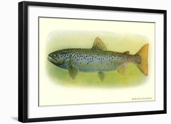 Sebago Salmon-null-Framed Art Print