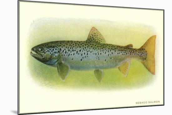 Sebago Salmon-null-Mounted Art Print