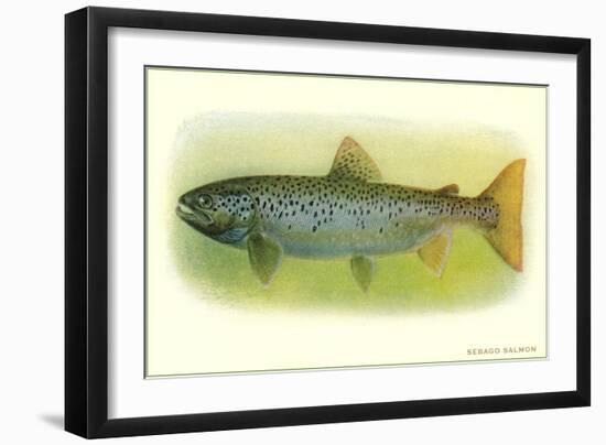 Sebago Salmon-null-Framed Art Print