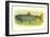 Sebago Salmon-null-Framed Art Print