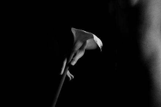 Photo, , large