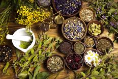 Natural Medicine, Herbs-Sebastian Duda-Photographic Print