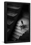 Essential Black