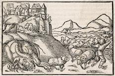 The Dragon of Krakow Poland Scares a Shepherd-Sebastian Munster-Art Print