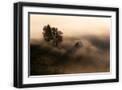 Black Frame