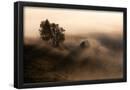 Essential Black