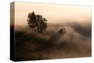 Stretched Canvas