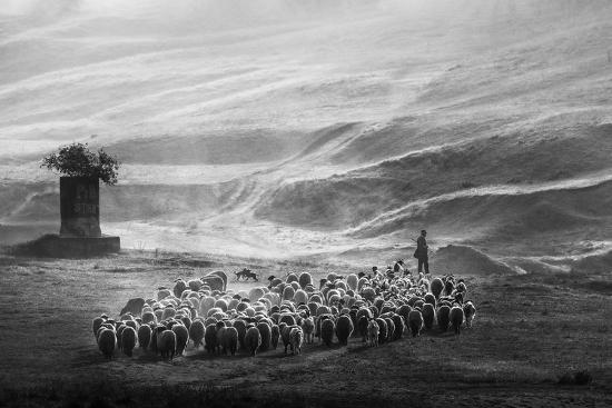 Photographic Print, , large
