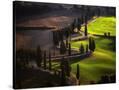 Stretched Canvas