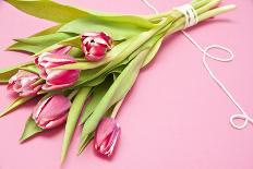 Bouquet, Tulips, Pink, Table-Sebastian Scheuerecker-Photographic Print