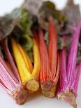 Rainbow Chard-Sebastian Vogt-Framed Photographic Print