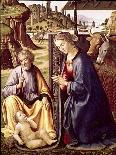 The Birth of Christ-Sebastiano Mainardi-Giclee Print