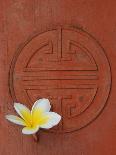 Long Life Symbol and Lotus Flower-Sebastien Desarmaux-Framed Stretched Canvas