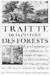 Traite de La Culture Des Forets-Sebastien Le Pretre de Vauban-Giclee Print